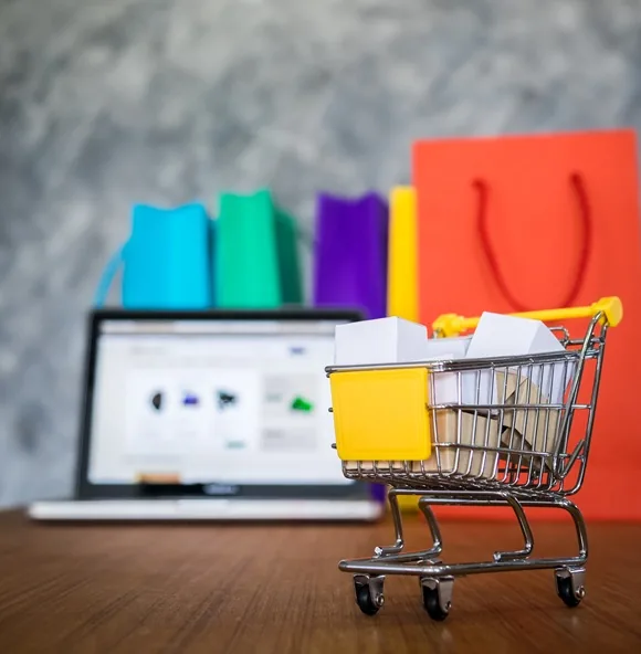 Odoo ecommerce storefront development